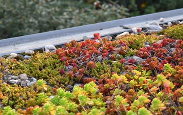 the cost of Samuelston green roof installation