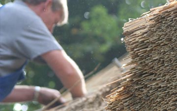 professional Samuelston thatchers